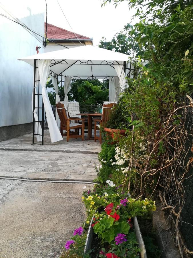 Lili Apartment In Zadar Pet Friendly, Free Parking Buitenkant foto