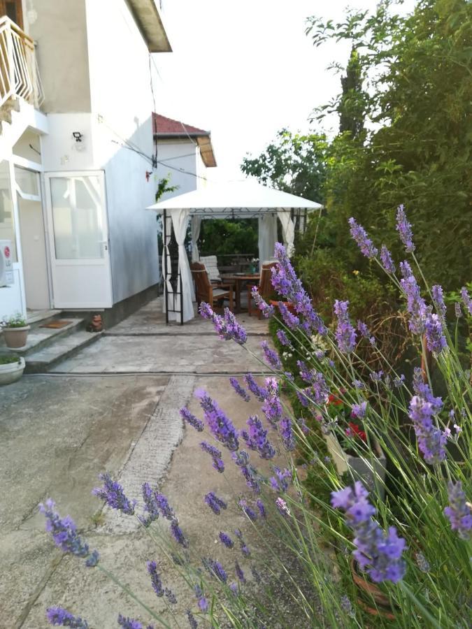 Lili Apartment In Zadar Pet Friendly, Free Parking Buitenkant foto