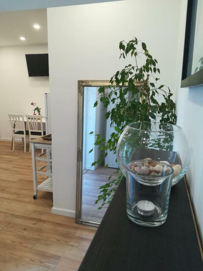 Lili Apartment In Zadar Pet Friendly, Free Parking Buitenkant foto